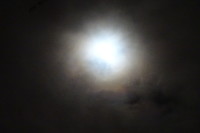 DSC00236